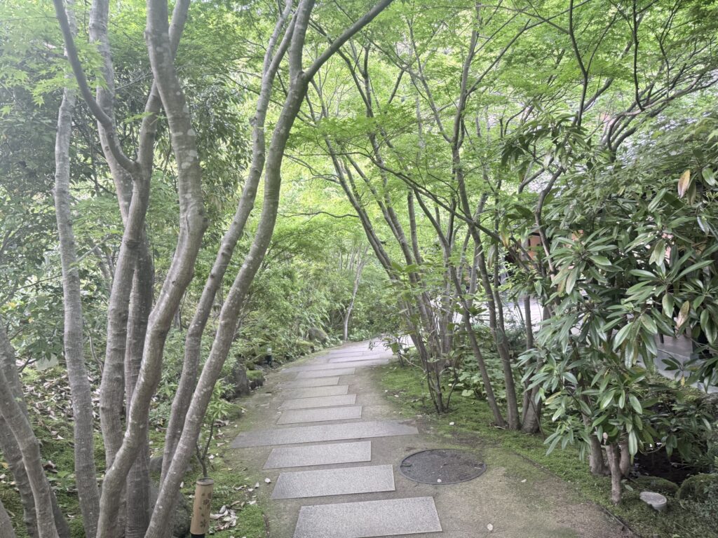 箱根湯寮へ続く、鮮やかな新緑の木々に覆われた石畳の小路。木漏れ日が差し込み、高精細な自然の描画（レンダリング）が美しい景観。